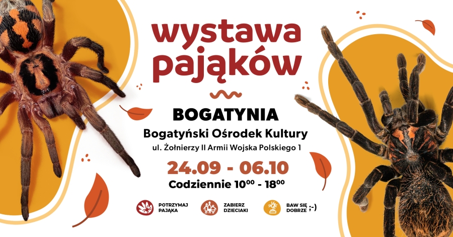 Wystawa Pająków (24.09 - 6.10.2024)